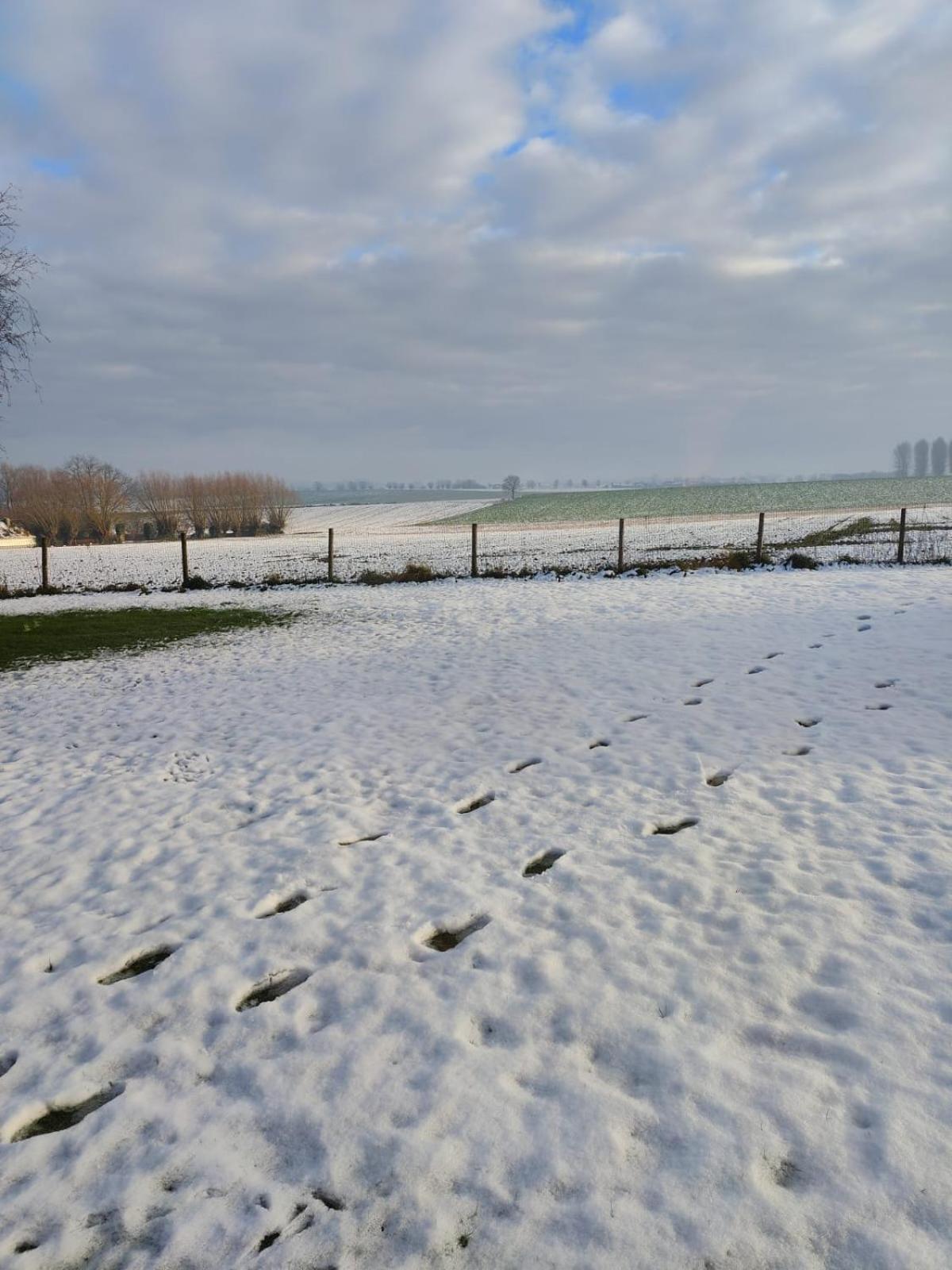 Elba Panzió Herne Kültér fotó